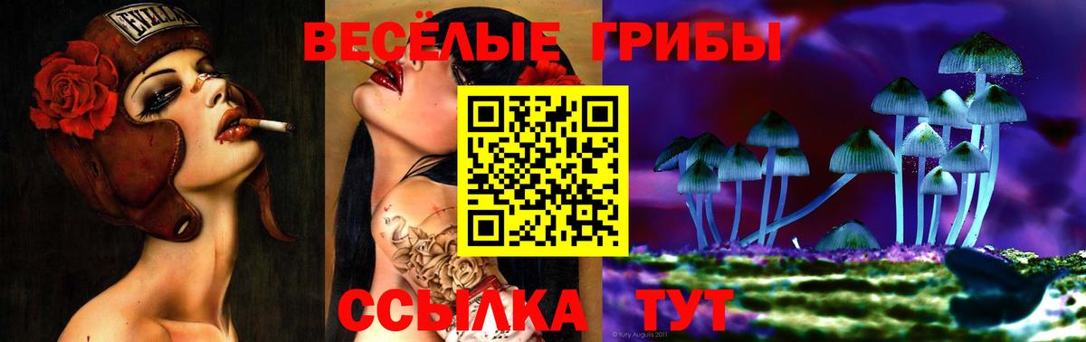 Дубна  Псилоцибиновые грибы прущие грибы  где можно купить наркотик  Вход с VPN 