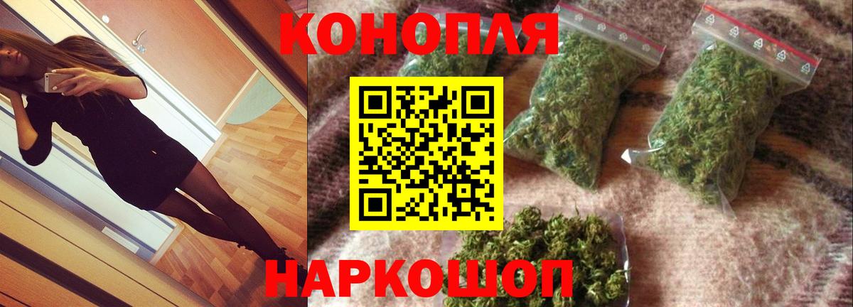 Канабис конопля Дубна